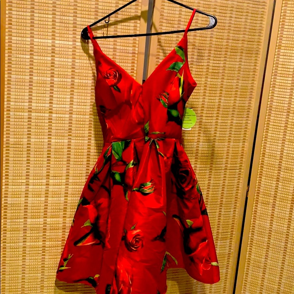 Floral rose pattern dress